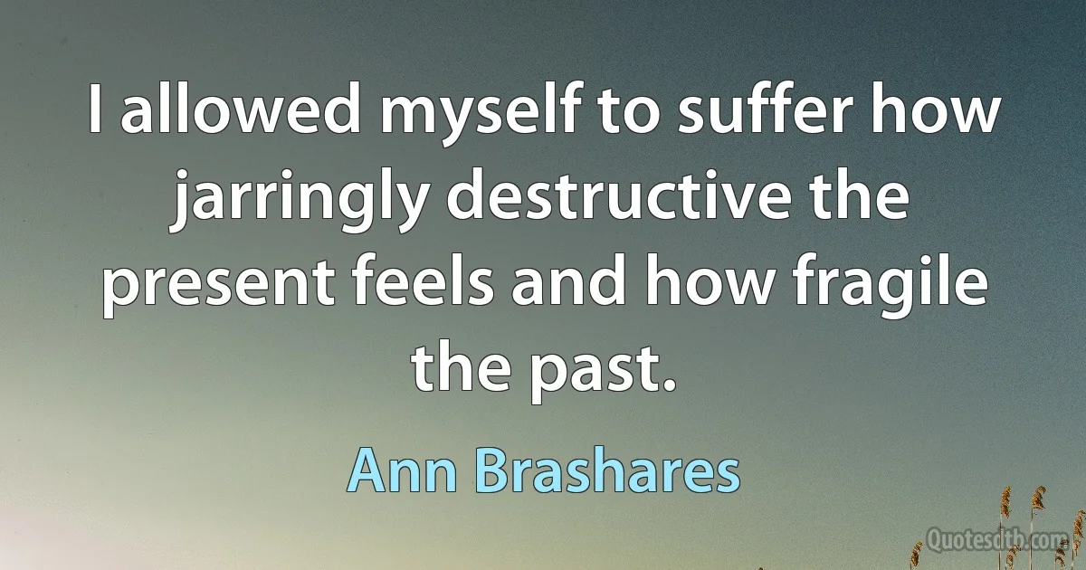 I allowed myself to suffer how jarringly destructive the present feels and how fragile the past. (Ann Brashares)