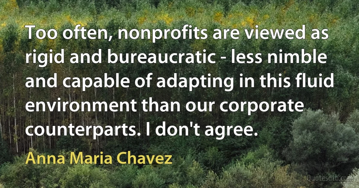 Too often, nonprofits are viewed as rigid and bureaucratic - less nimble and capable of adapting in this fluid environment than our corporate counterparts. I don't agree. (Anna Maria Chavez)