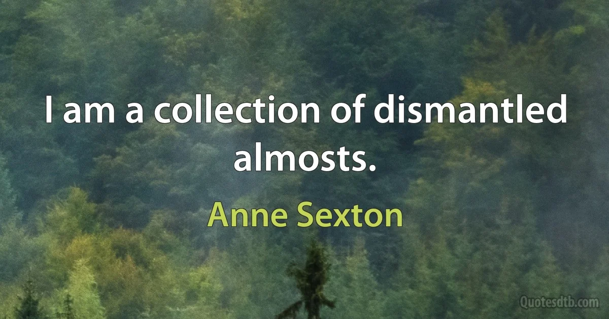 I am a collection of dismantled almosts. (Anne Sexton)