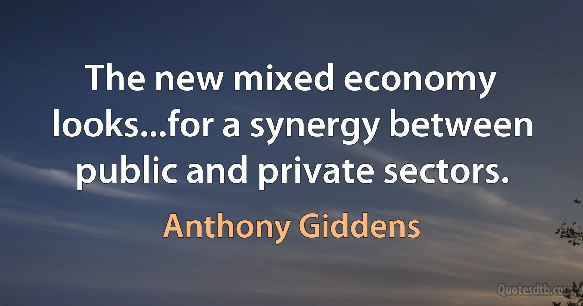 The new mixed economy looks...for a synergy between public and private sectors. (Anthony Giddens)