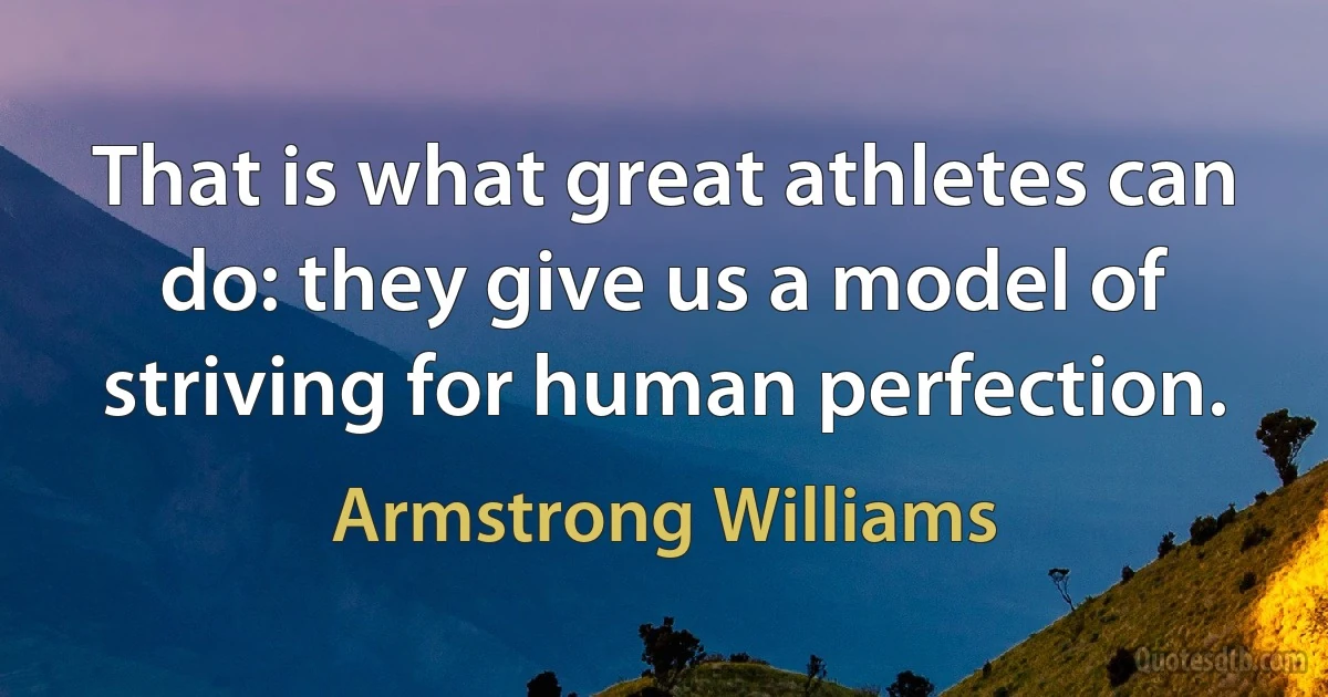 That is what great athletes can do: they give us a model of striving for human perfection. (Armstrong Williams)