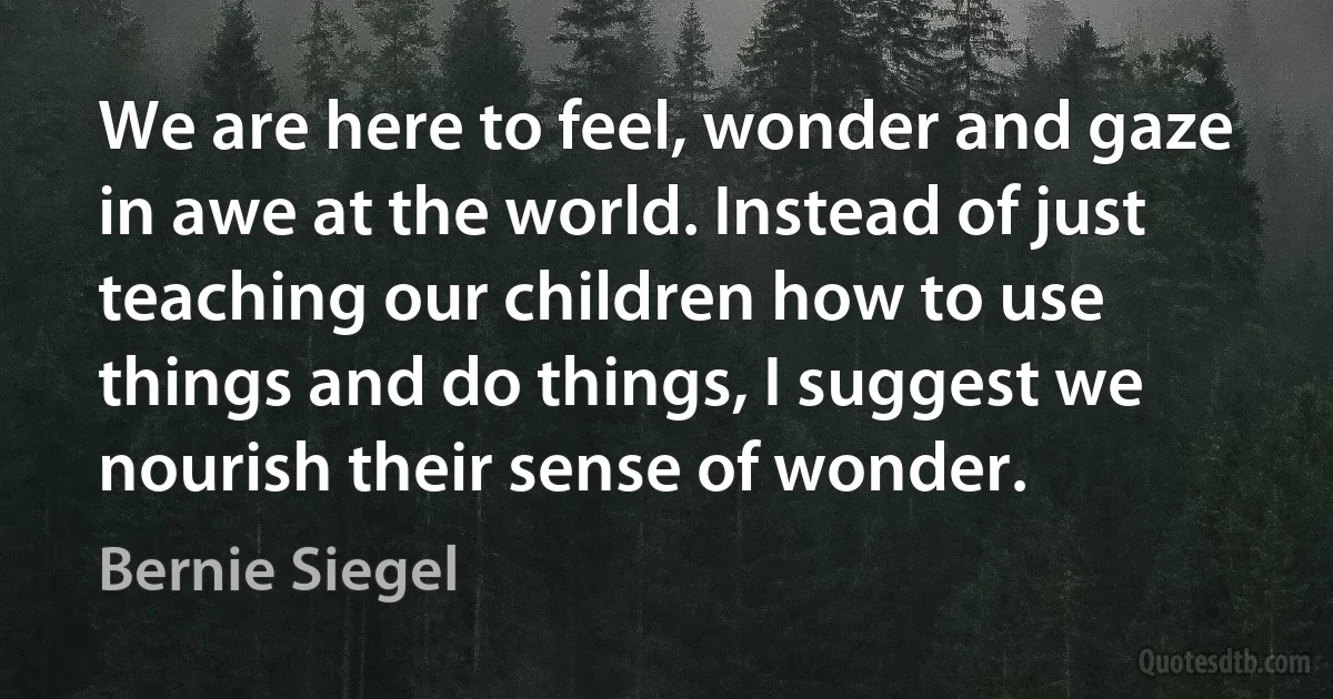 We are here to feel, wonder and gaze in awe at the world. Instead of just teaching our children how to use things and do things, I suggest we nourish their sense of wonder. (Bernie Siegel)