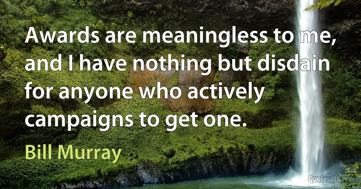 Awards are meaningless to me, and I have nothing but disdain for anyone who actively campaigns to get one. (Bill Murray)