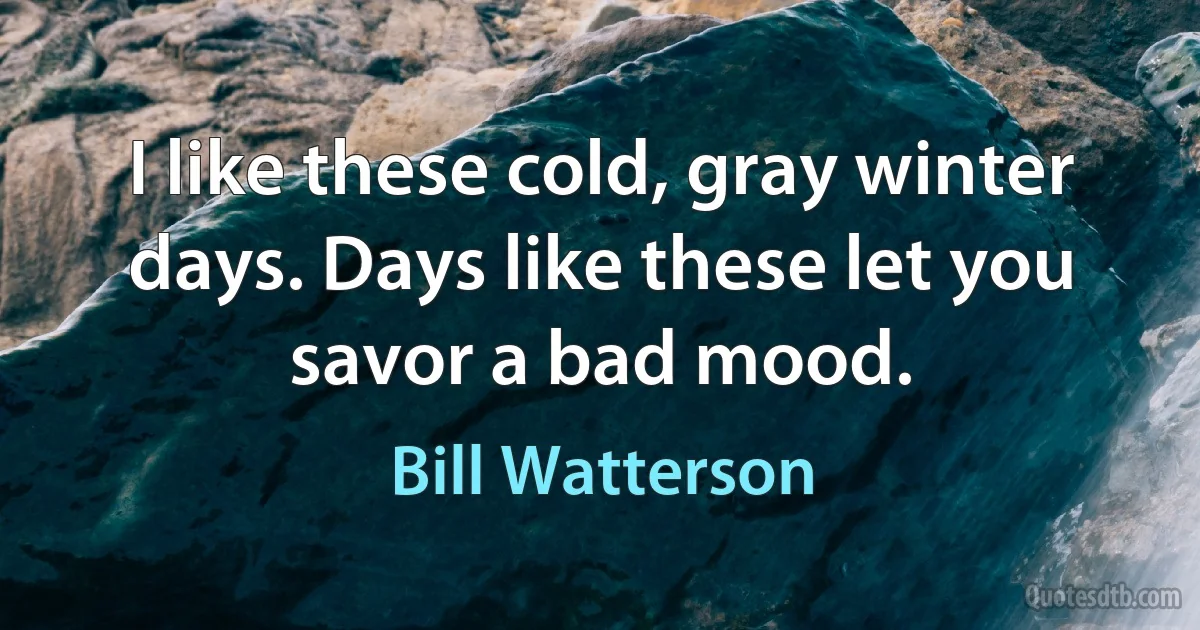 I like these cold, gray winter days. Days like these let you savor a bad mood. (Bill Watterson)