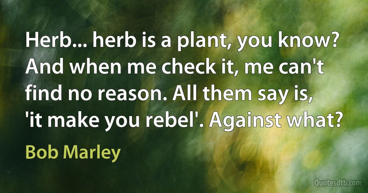 Herb... herb is a plant, you know? And when me check it, me can't find no reason. All them say is, 'it make you rebel'. Against what? (Bob Marley)