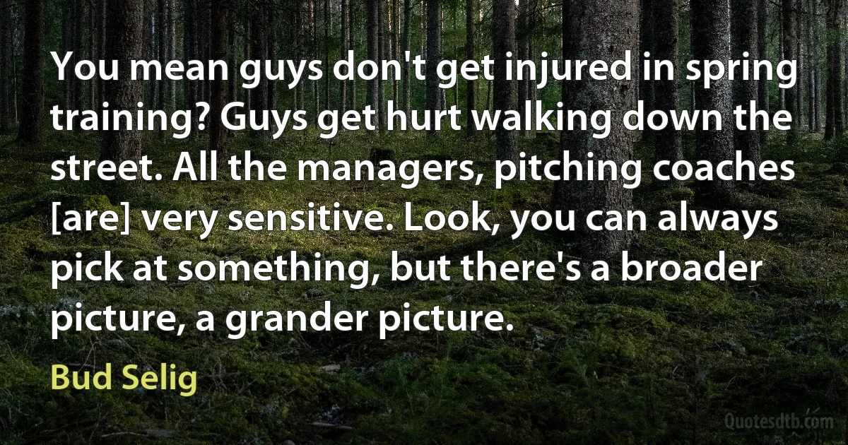 You mean guys don't get injured in spring training? Guys get hurt walking down the street. All the managers, pitching coaches [are] very sensitive. Look, you can always pick at something, but there's a broader picture, a grander picture. (Bud Selig)