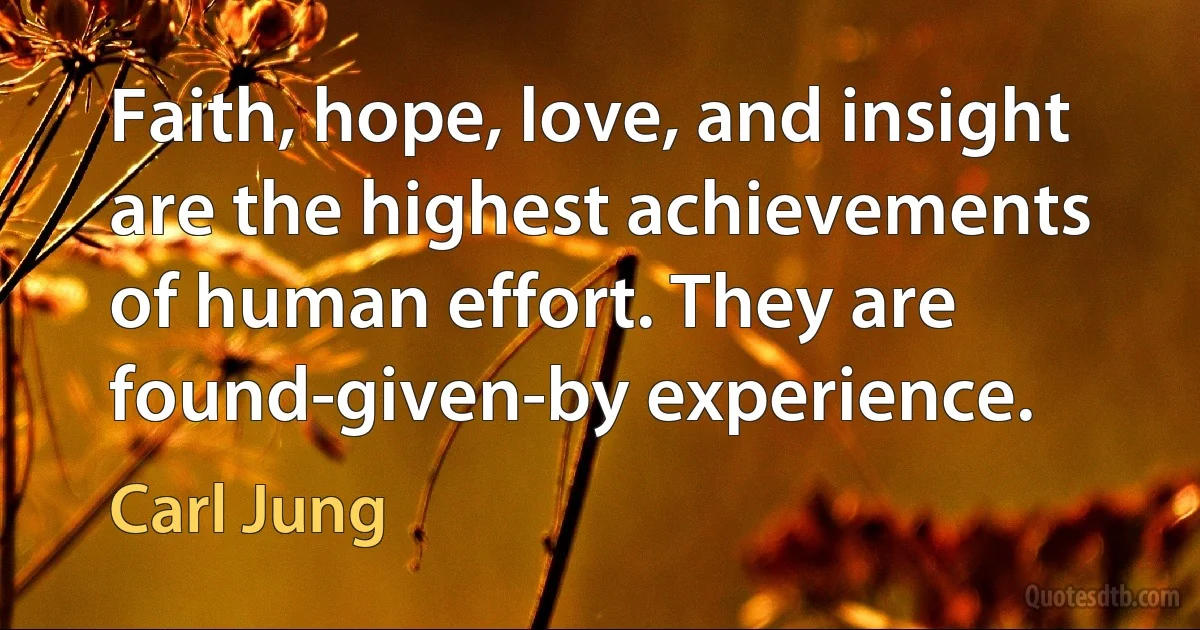 Faith, hope, love, and insight are the highest achievements of human effort. They are found-given-by experience. (Carl Jung)