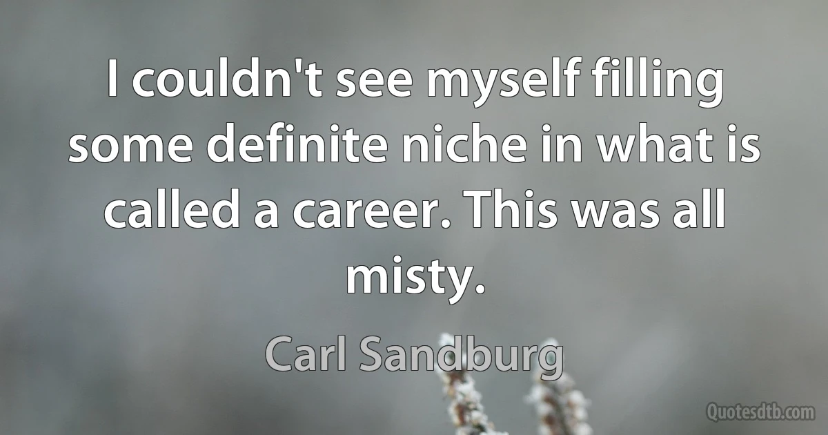 I couldn't see myself filling some definite niche in what is called a career. This was all misty. (Carl Sandburg)