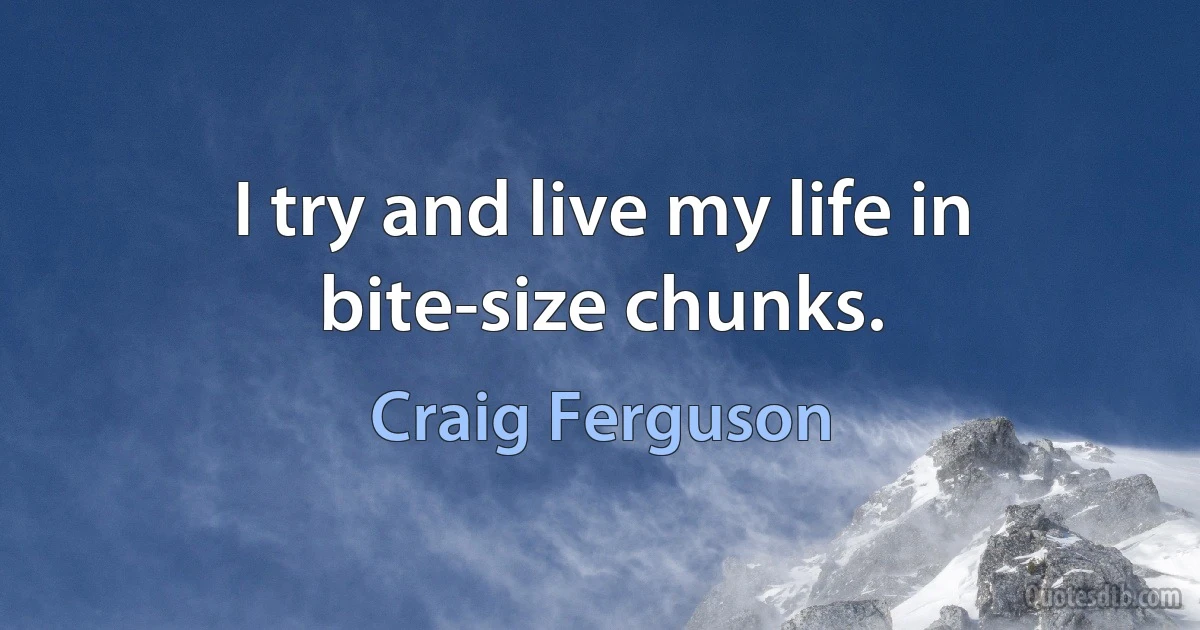 I try and live my life in bite-size chunks. (Craig Ferguson)