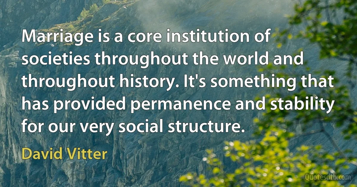 Marriage is a core institution of societies throughout the world and throughout history. It's something that has provided permanence and stability for our very social structure. (David Vitter)