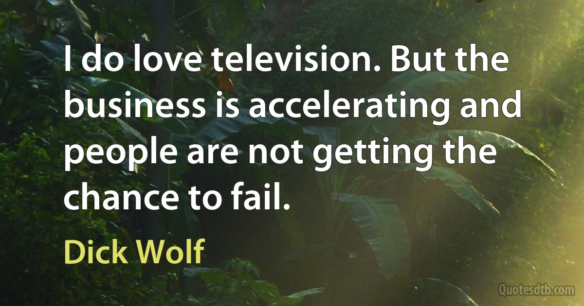 I do love television. But the business is accelerating and people are not getting the chance to fail. (Dick Wolf)