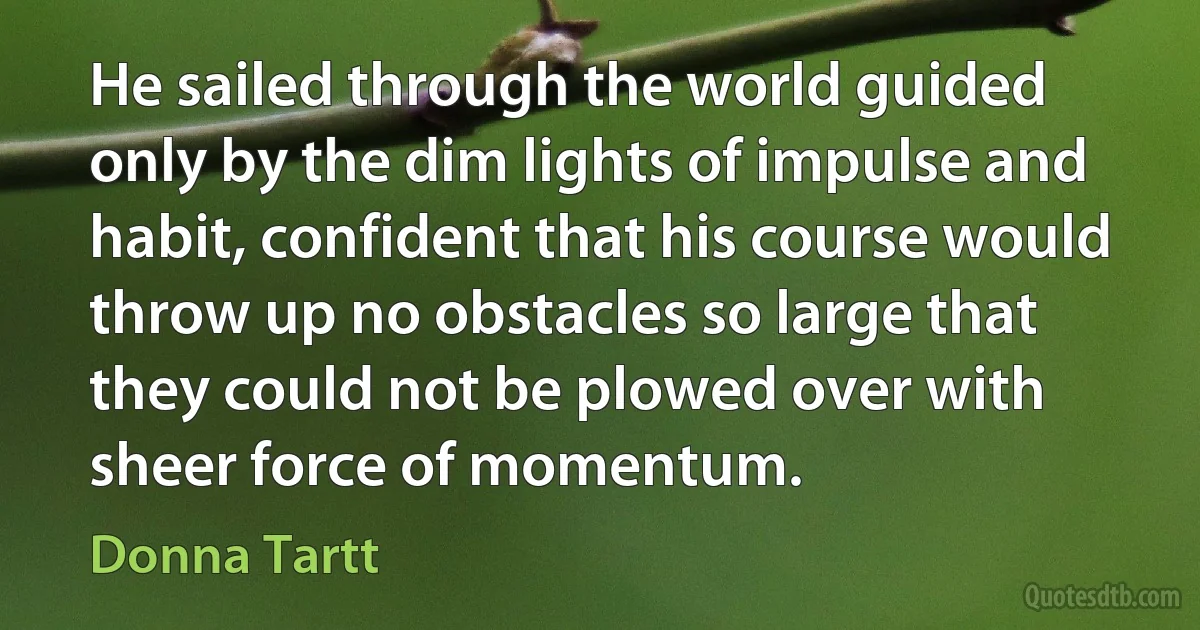 He sailed through the world guided only by the dim lights of impulse and habit, confident that his course would throw up no obstacles so large that they could not be plowed over with sheer force of momentum. (Donna Tartt)