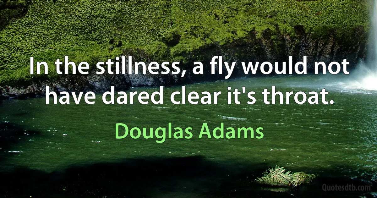 In the stillness, a fly would not have dared clear it's throat. (Douglas Adams)