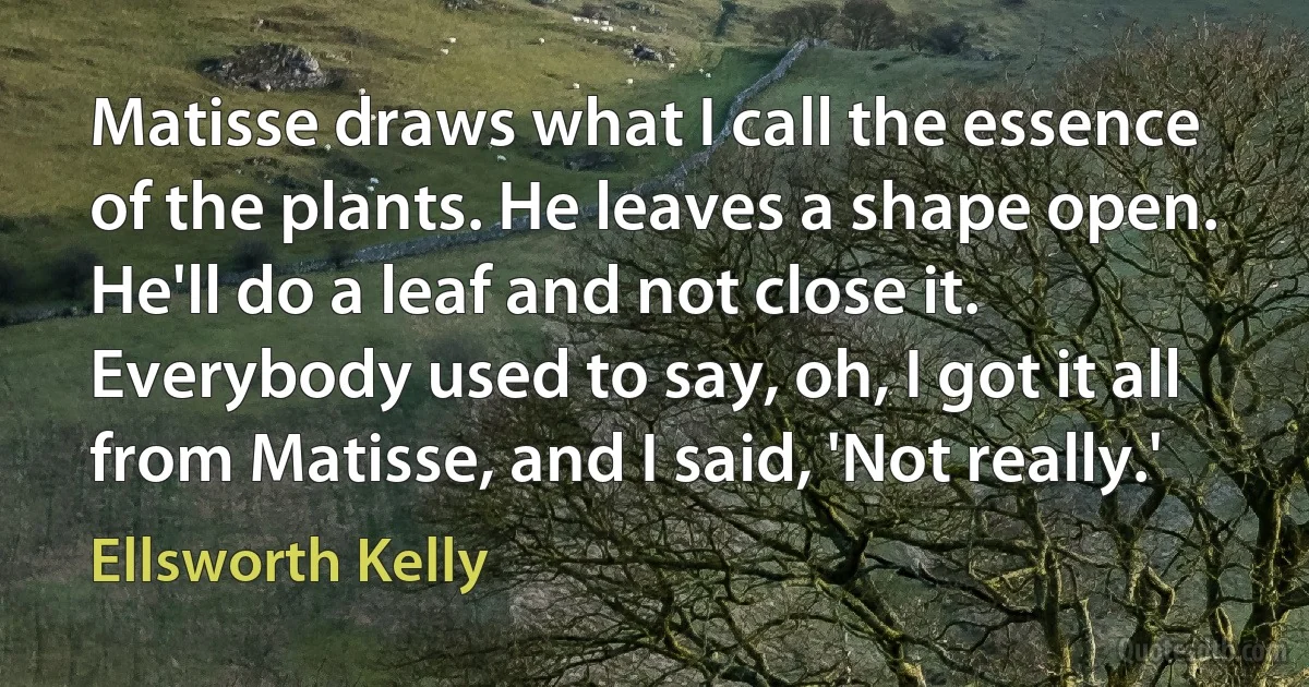 Matisse draws what I call the essence of the plants. He leaves a shape open. He'll do a leaf and not close it. Everybody used to say, oh, I got it all from Matisse, and I said, 'Not really.' (Ellsworth Kelly)