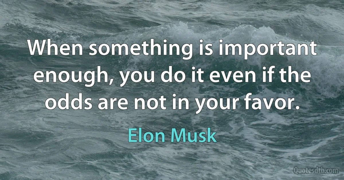 When something is important enough, you do it even if the odds are not in your favor. (Elon Musk)