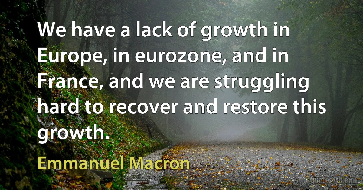 We have a lack of growth in Europe, in eurozone, and in France, and we are struggling hard to recover and restore this growth. (Emmanuel Macron)