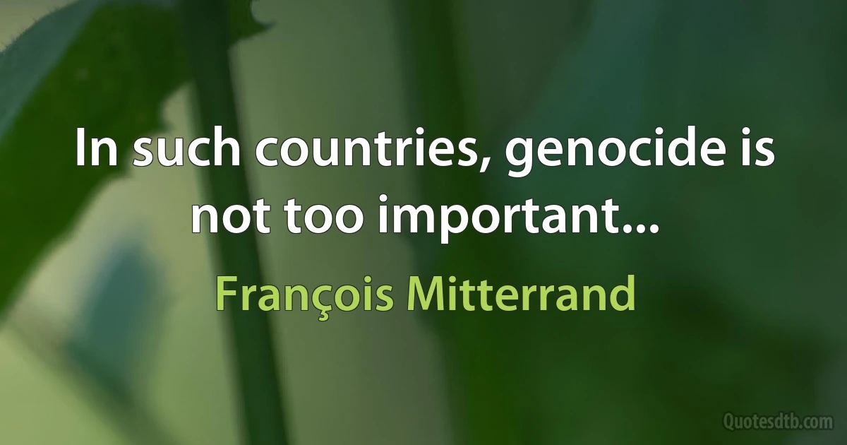 In such countries, genocide is not too important... (François Mitterrand)