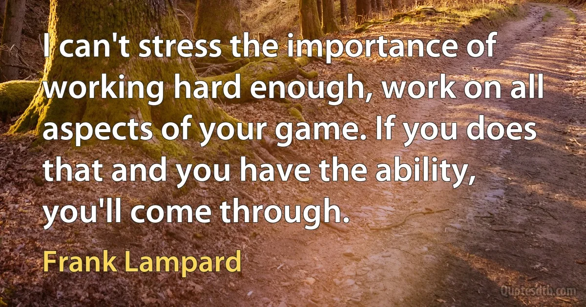 I can't stress the importance of working hard enough, work on all aspects of your game. If you does that and you have the ability, you'll come through. (Frank Lampard)