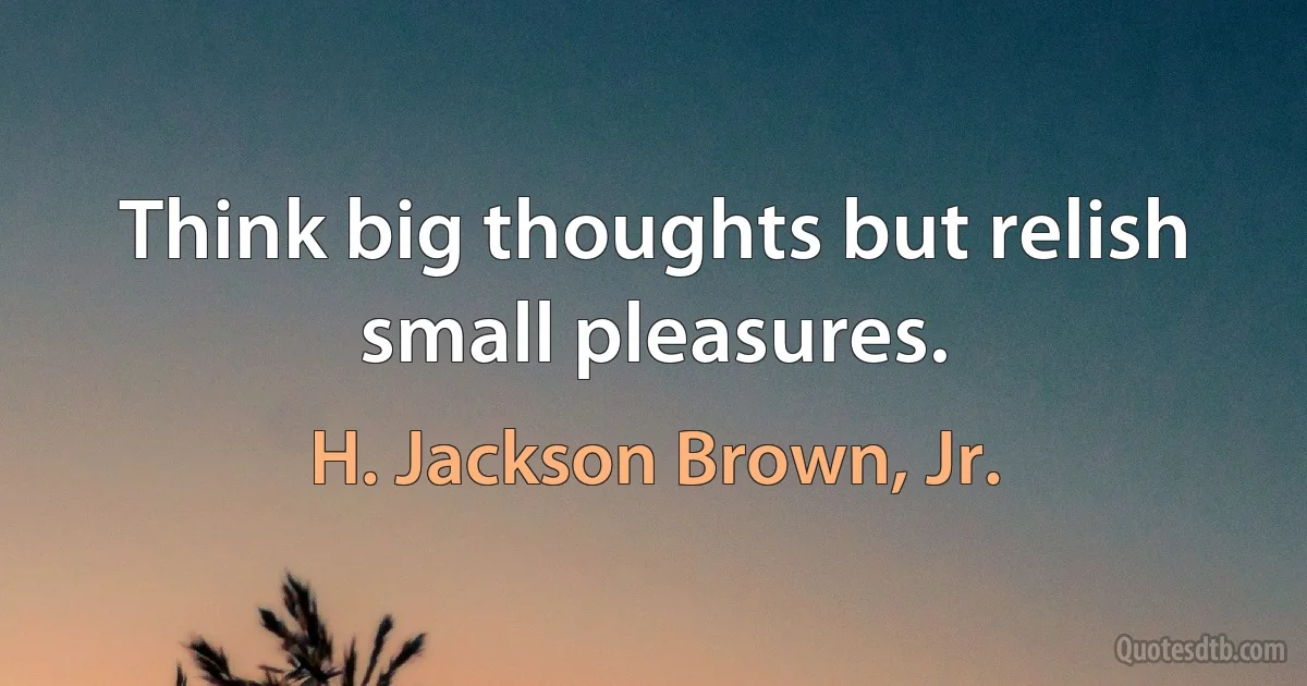 Think big thoughts but relish small pleasures. (H. Jackson Brown, Jr.)