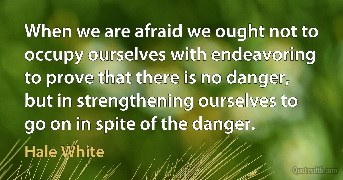 When we are afraid we ought not to occupy ourselves with endeavoring to prove that there is no danger, but in strengthening ourselves to go on in spite of the danger. (Hale White)