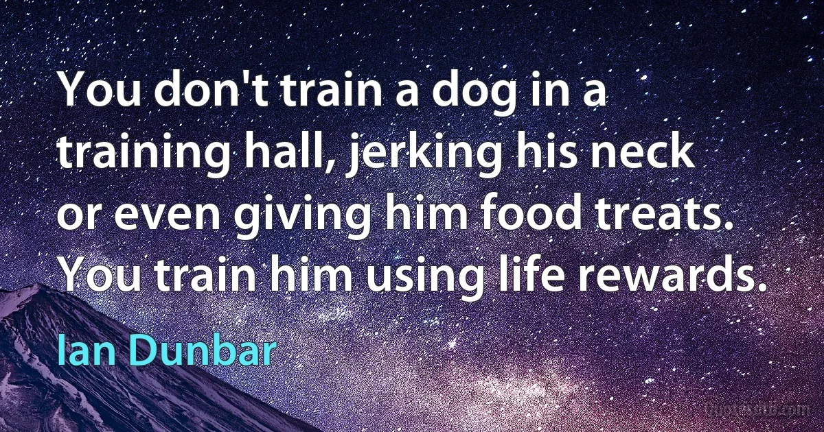 You don't train a dog in a training hall, jerking his neck or even giving him food treats. You train him using life rewards. (Ian Dunbar)