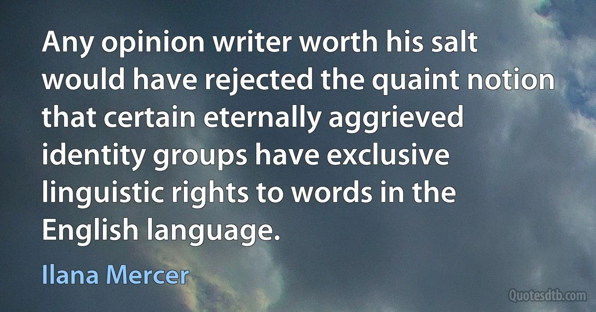 Any opinion writer worth his salt would have rejected the quaint notion that certain eternally aggrieved identity groups have exclusive linguistic rights to words in the English language. (Ilana Mercer)