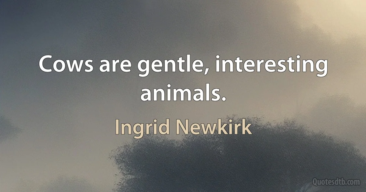 Cows are gentle, interesting animals. (Ingrid Newkirk)