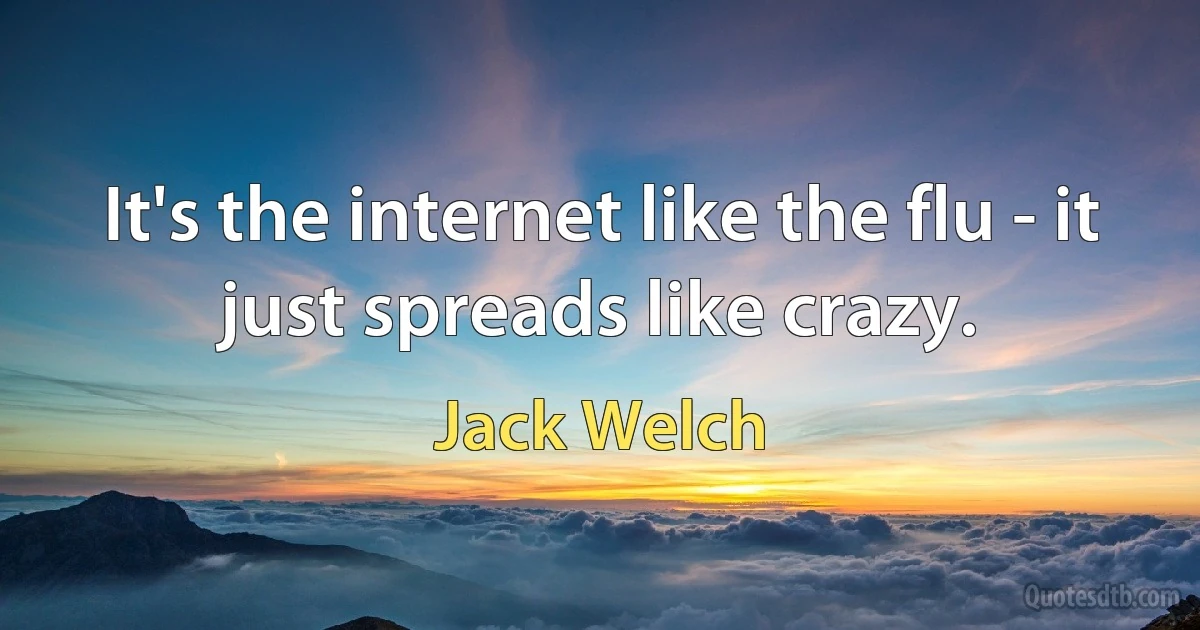 It's the internet like the flu - it just spreads like crazy. (Jack Welch)