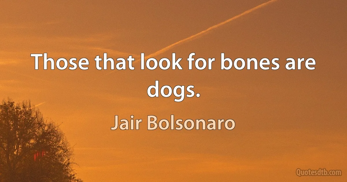 Those that look for bones are dogs. (Jair Bolsonaro)