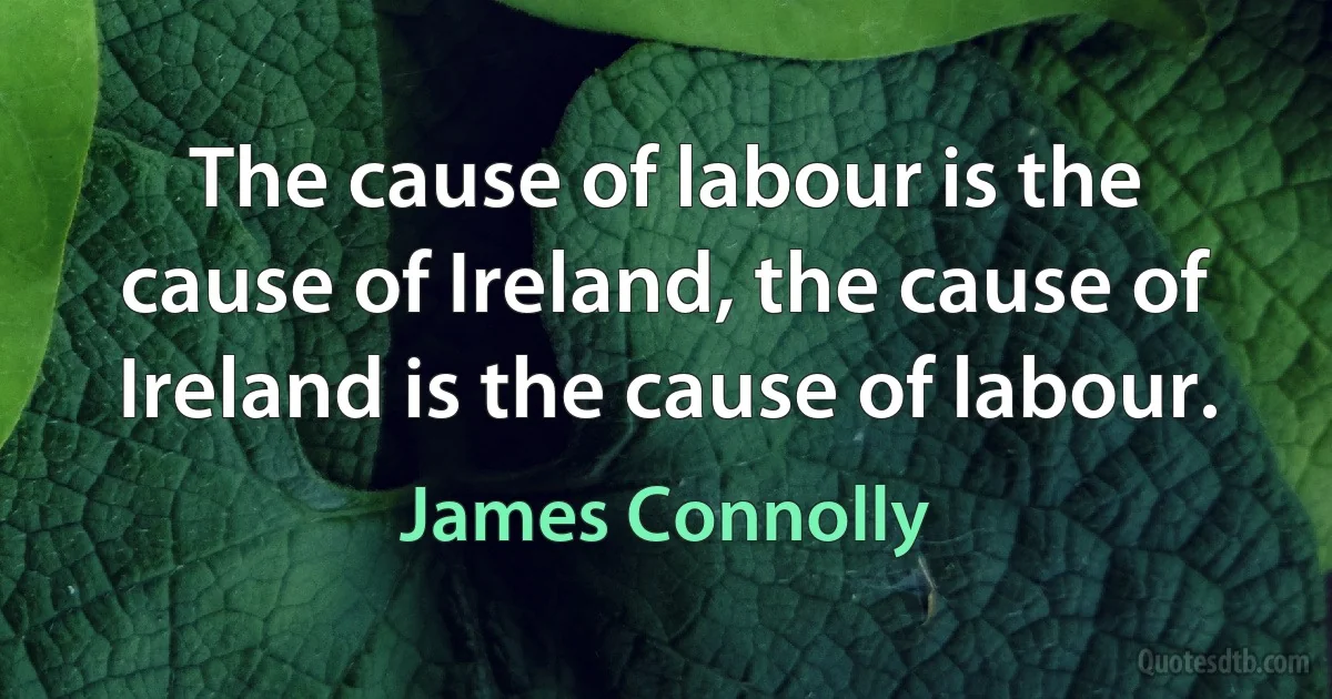 The cause of labour is the cause of Ireland, the cause of Ireland is the cause of labour. (James Connolly)