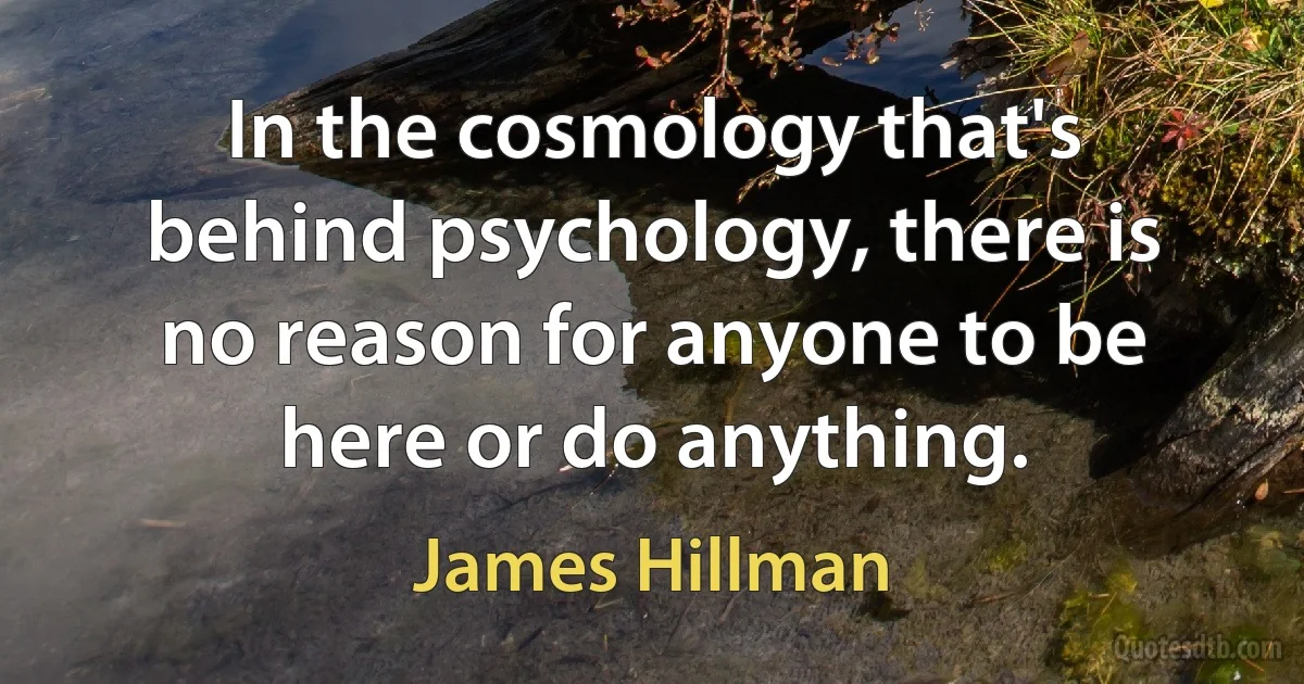 In the cosmology that's behind psychology, there is no reason for anyone to be here or do anything. (James Hillman)