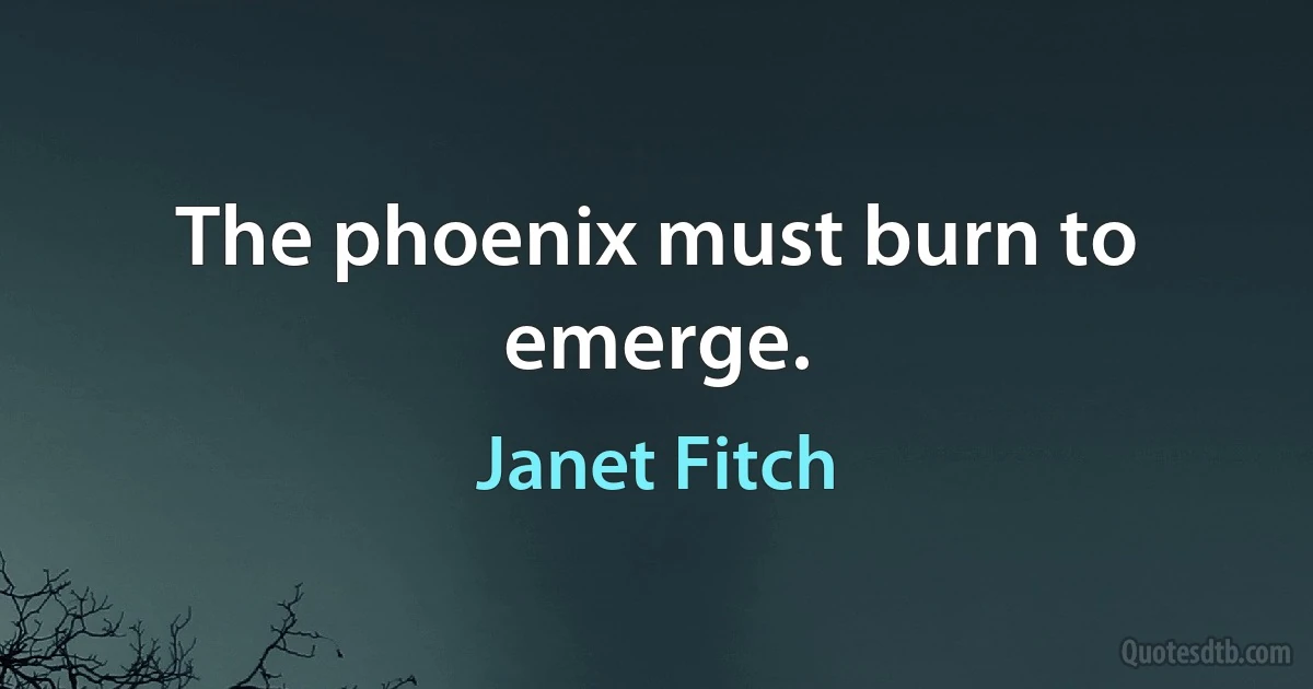 The phoenix must burn to emerge. (Janet Fitch)