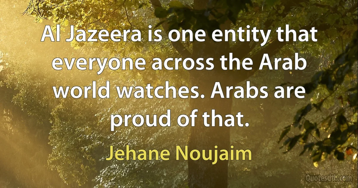 Al Jazeera is one entity that everyone across the Arab world watches. Arabs are proud of that. (Jehane Noujaim)