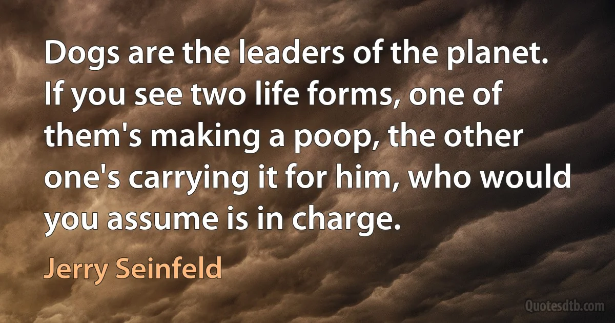 Dogs are the leaders of the planet. If you see two life forms, one of them's making a poop, the other one's carrying it for him, who would you assume is in charge. (Jerry Seinfeld)