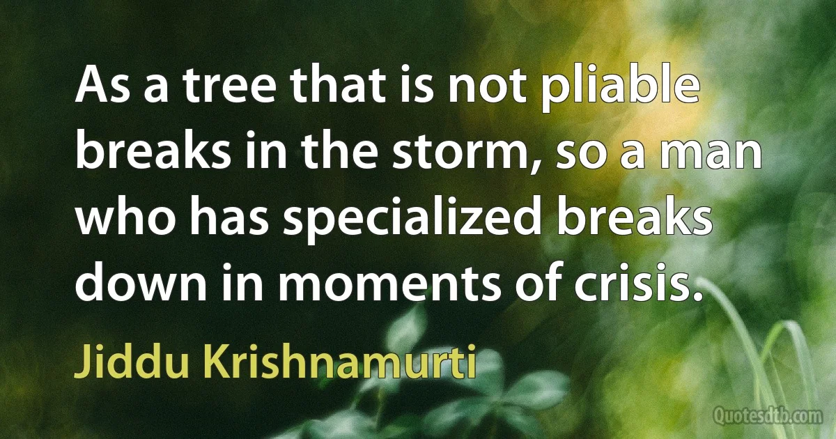 As a tree that is not pliable breaks in the storm, so a man who has specialized breaks down in moments of crisis. (Jiddu Krishnamurti)