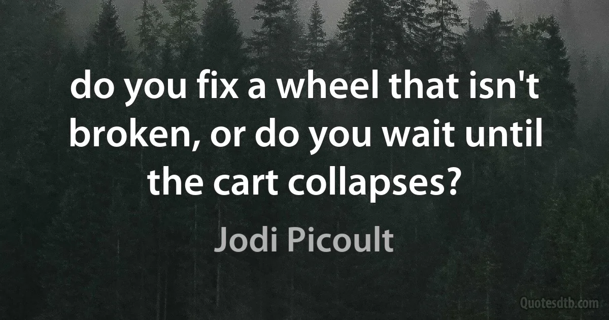 do you fix a wheel that isn't broken, or do you wait until the cart collapses? (Jodi Picoult)