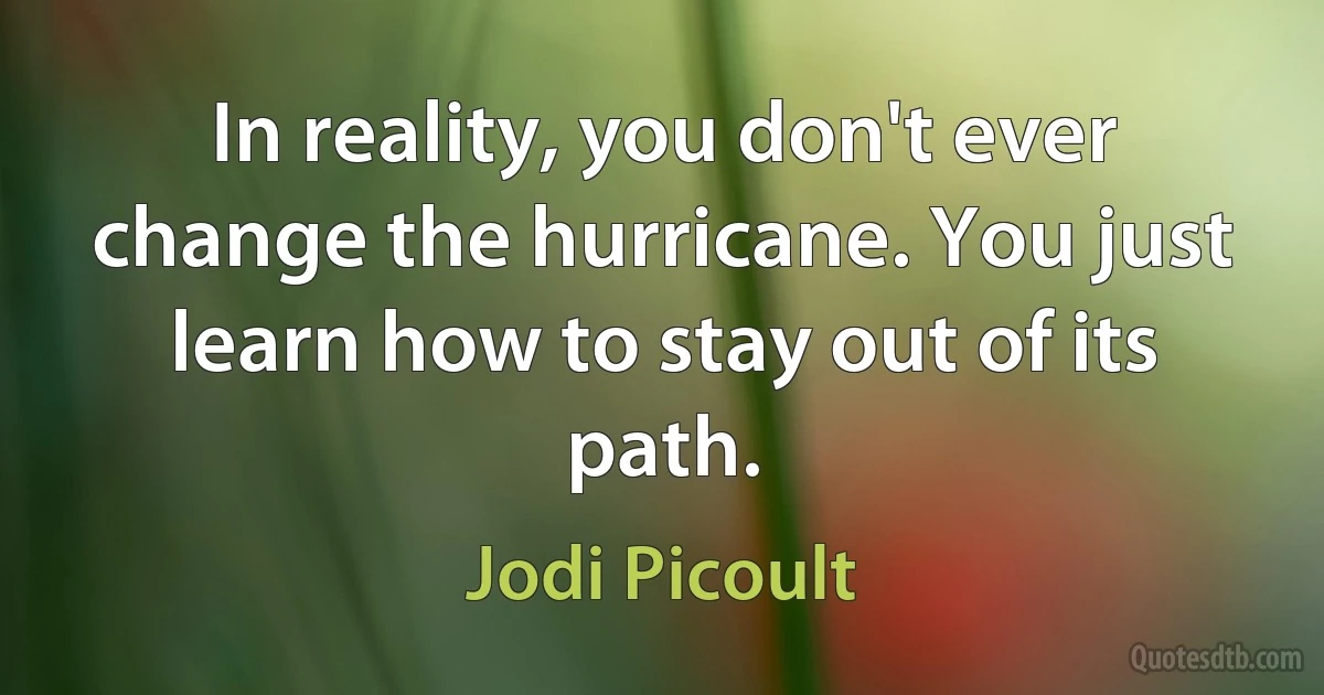 In reality, you don't ever change the hurricane. You just learn how to stay out of its path. (Jodi Picoult)