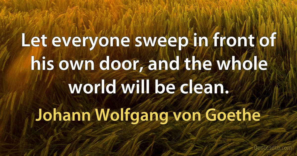 Let everyone sweep in front of his own door, and the whole world will be clean. (Johann Wolfgang von Goethe)