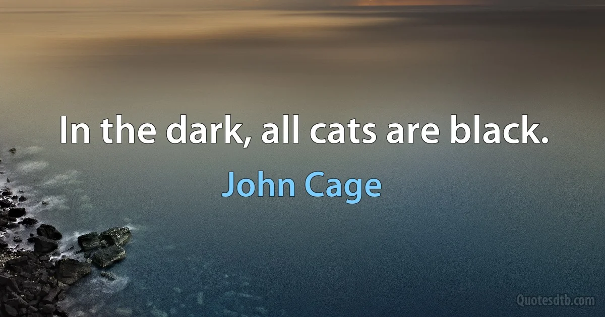 In the dark, all cats are black. (John Cage)