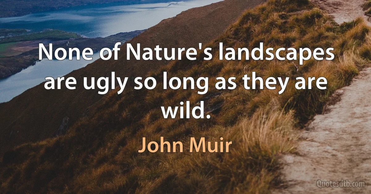 None of Nature's landscapes are ugly so long as they are wild. (John Muir)