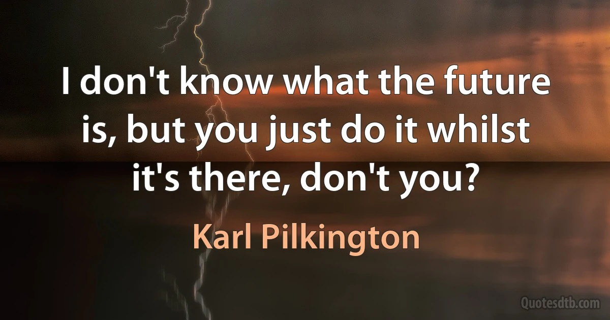 I don't know what the future is, but you just do it whilst it's there, don't you? (Karl Pilkington)