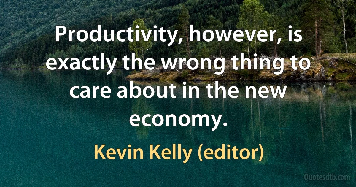 Productivity, however, is exactly the wrong thing to care about in the new economy. (Kevin Kelly (editor))