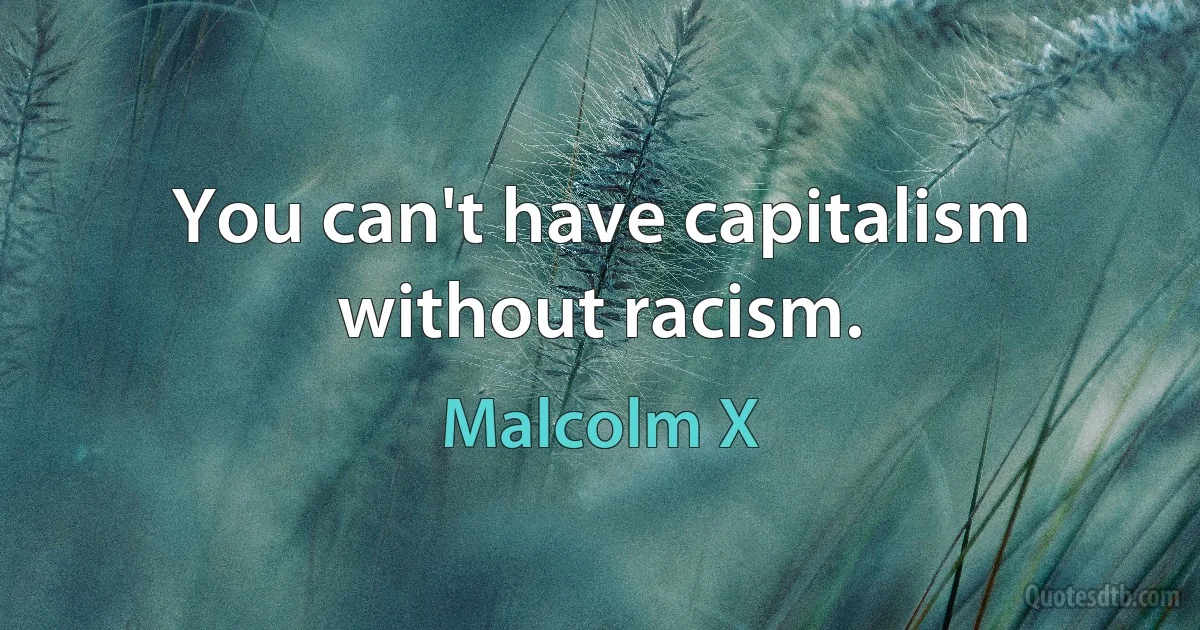 You can't have capitalism without racism. (Malcolm X)