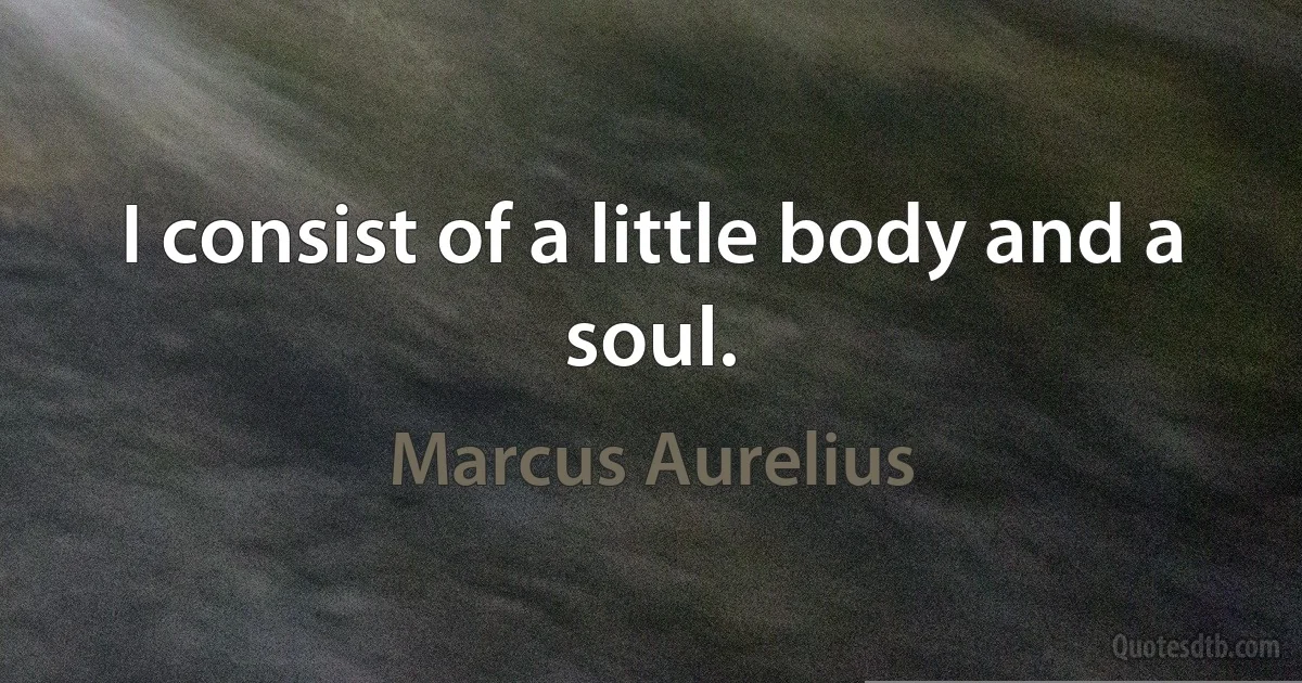 I consist of a little body and a soul. (Marcus Aurelius)