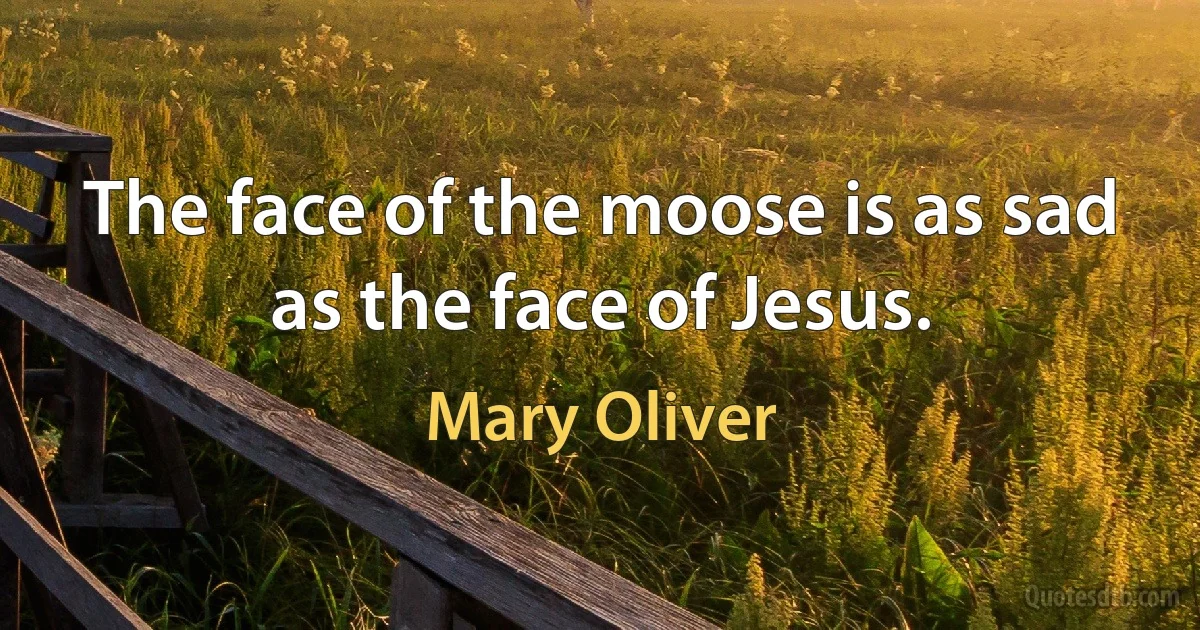 The face of the moose is as sad as the face of Jesus. (Mary Oliver)