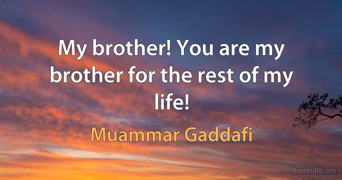 My brother! You are my brother for the rest of my life! (Muammar Gaddafi)