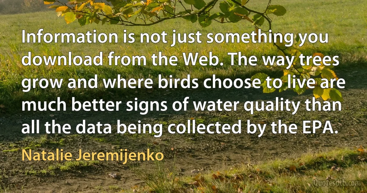 Information is not just something you download from the Web. The way trees grow and where birds choose to live are much better signs of water quality than all the data being collected by the EPA. (Natalie Jeremijenko)