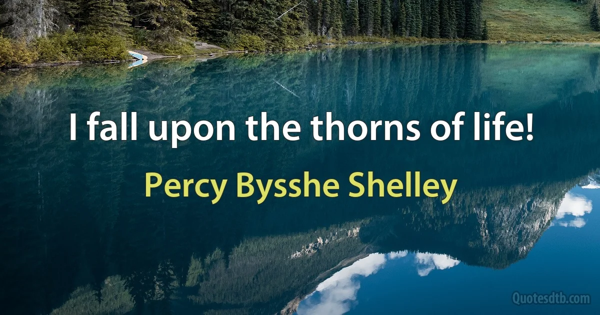 I fall upon the thorns of life! (Percy Bysshe Shelley)