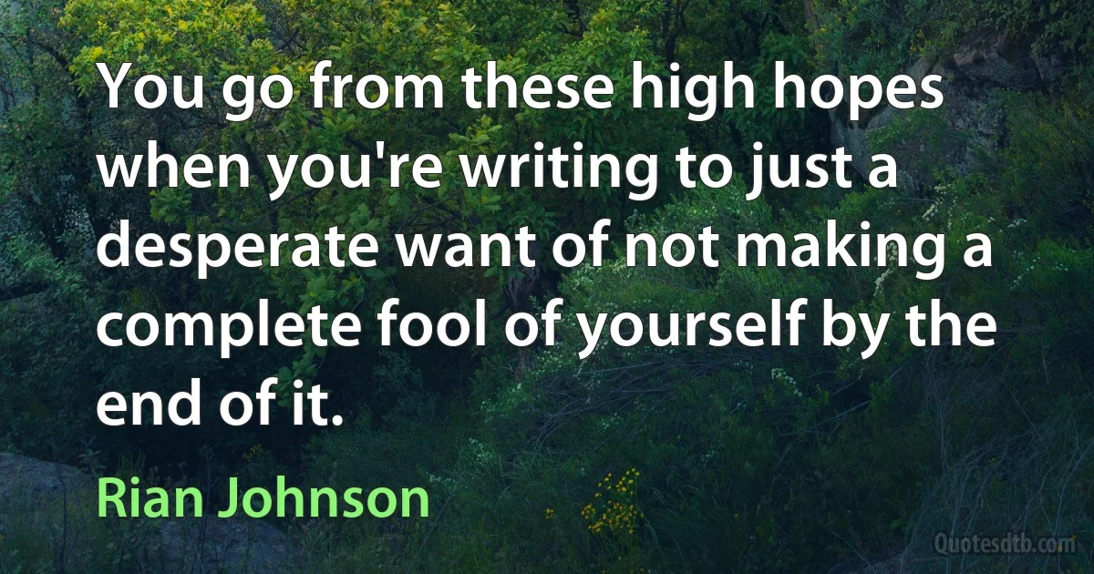 You go from these high hopes when you're writing to just a desperate want of not making a complete fool of yourself by the end of it. (Rian Johnson)