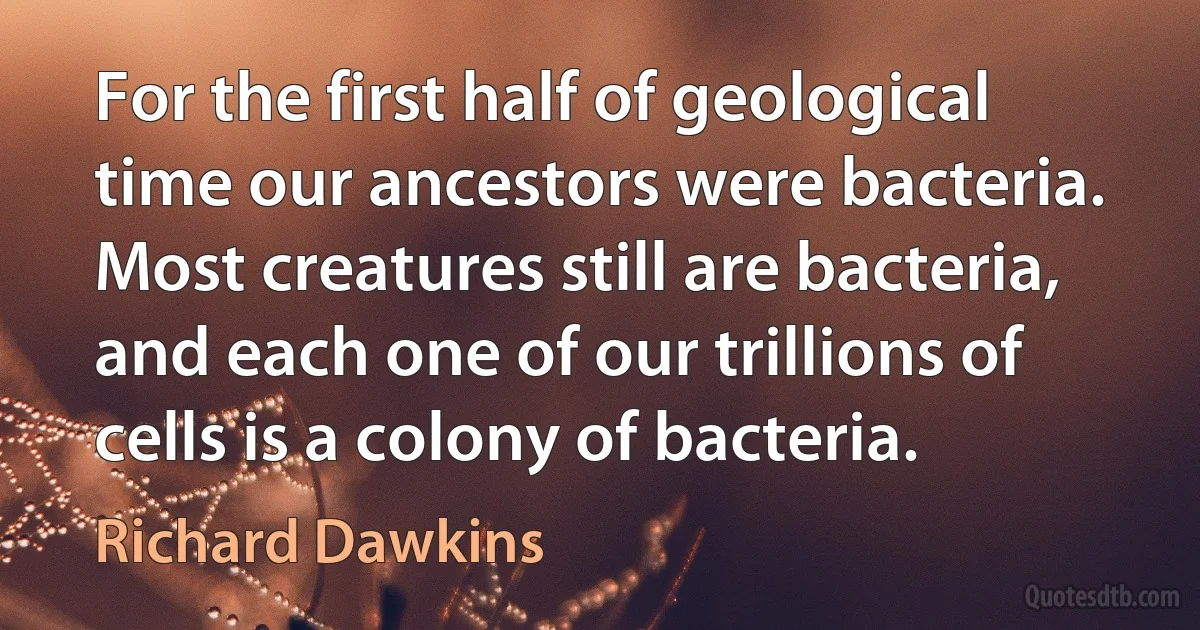 For the first half of geological time our ancestors were bacteria. Most creatures still are bacteria, and each one of our trillions of cells is a colony of bacteria. (Richard Dawkins)